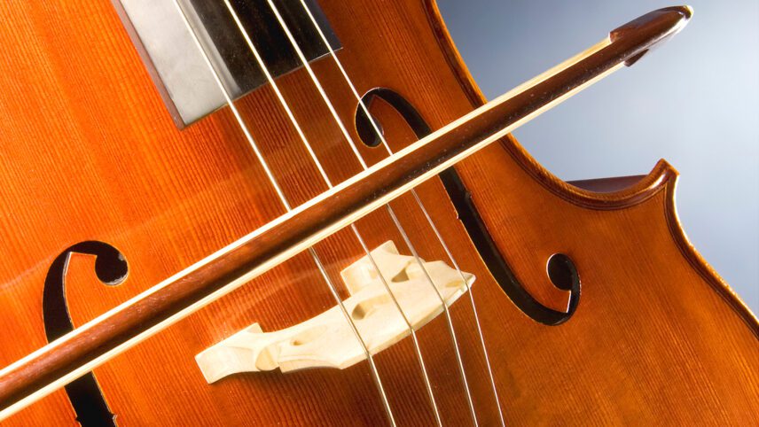 Zdjęcie przedstawia instrument muzyczny - wiolonczele. Instrument muzyczny jest pokazany z bliska i jest w kolorze brązowo-białym.
